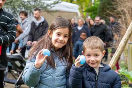 Grande chasse aux oeufs