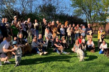 galerie-3e édition de l'Apéro dogs