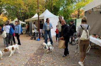 galerie-4e Apéro dogs