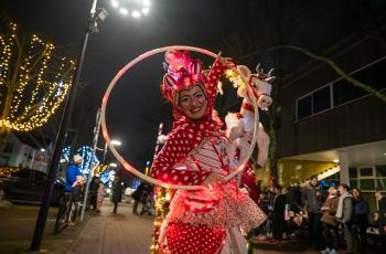 galerie-Illumination du sapin
